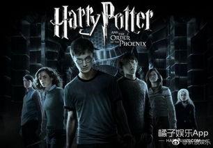 波特最新爆料新闻视频  第1张