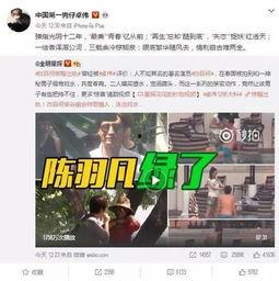 李丽欣被人爆料视频播放,真相与争议  第2张